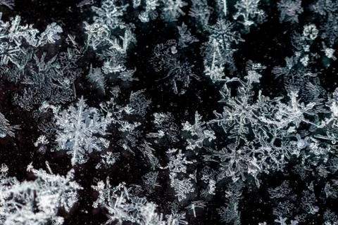Snow flakes macro image with dark background Foto stock
