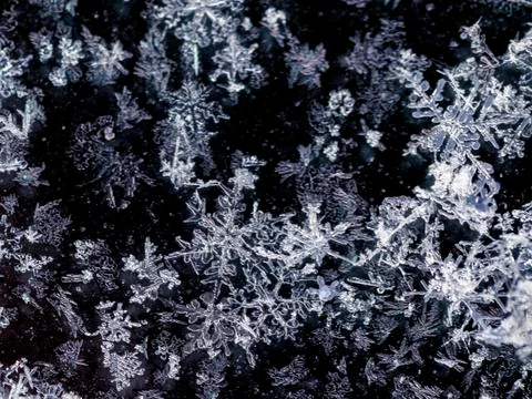 Snow flakes macro image with dark background Foto stock