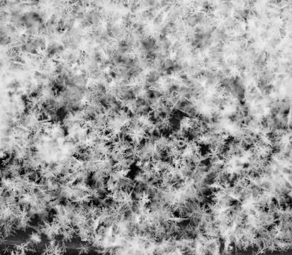 Snow flakes Stock Photos