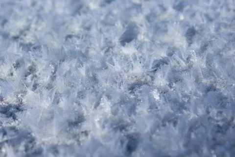 Snow Flakess On The Ground Stock Photos