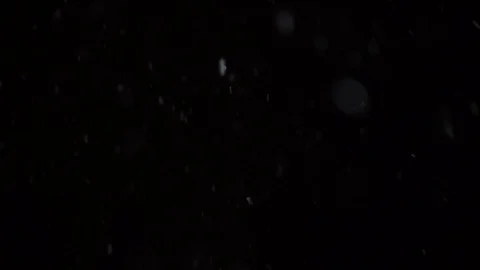 Snow flickers, is turned on wind. Large snowflakes against the background of the Stock Footage 98292684