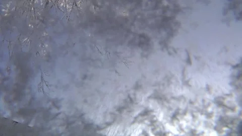 Snow flies into the camera lens. Stockbeeldmateriaal 101249169