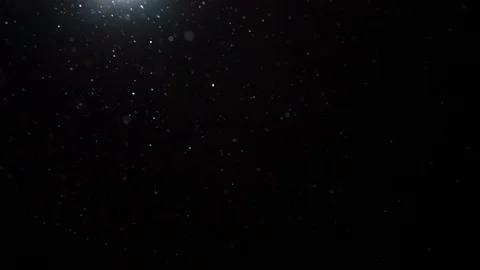 Snow flies slow motion. Falling realistic natural snowflakes from top to bottom Stock-Footage 123560775