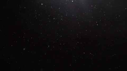 Snow flies slow motion. Falling realistic natural snowflakes from top to bottom Stock Footage 123561193