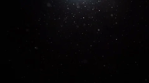 Snow flies slow motion. Falling realistic natural snowflakes from top to bottom Stock-Footage 123586757