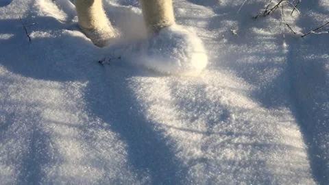 Snow flies from under boots. Slow motion of sparkling snow Stock Footage 145277003