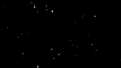 Snow floating from middle to front view effect Stock Footage 324600758