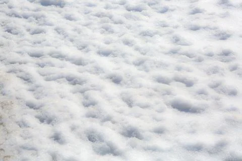 Snow on the floor Stock Photos