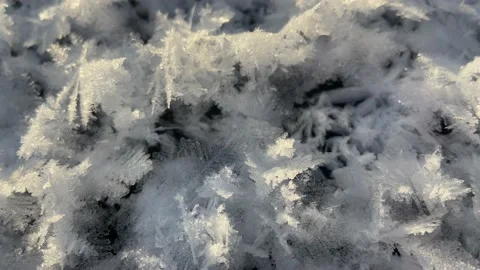 Snow flowers. Stock Footage 233073554