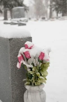 Snow flowers Stock-Fotos