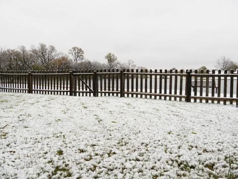Snow flurries covering a patch of grass in a backyard, with a wooden fence in Fotos de archivo