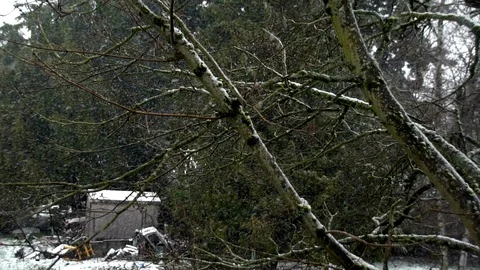 Snow Flurry Backyard Landscape Stock Footage 126307043