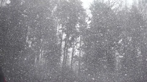 Snow Flurry Slow Motion Stock Footage 156523045