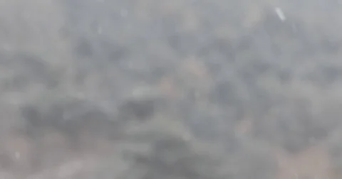 Snow flying up due to wind against blurred background : 4K footage Stock Footage 71368182