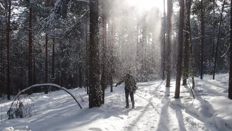 Snow is flying from a tree Stock Footage 246431325