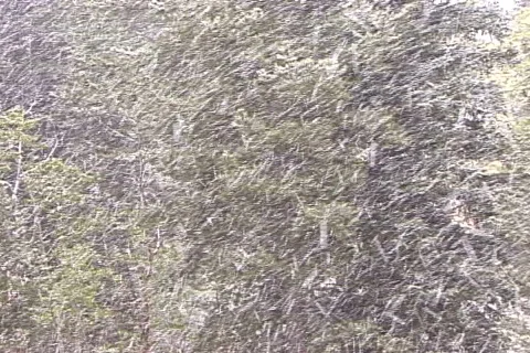 Snow Stock-Footage 820355