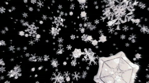 Snow Stock Footage 836780