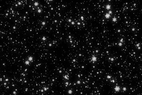 Snow 動画素材 979427