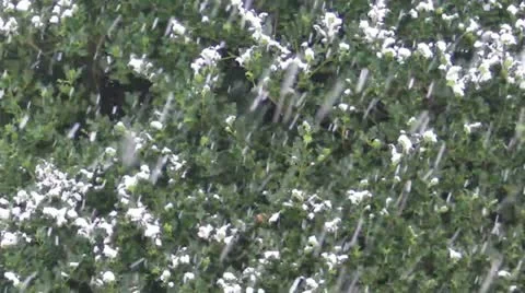 SNOW Stock-Footage 20436102