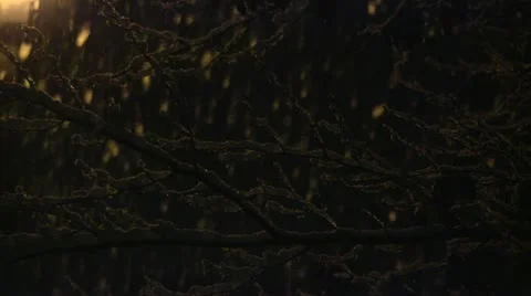 Snow Stock Footage