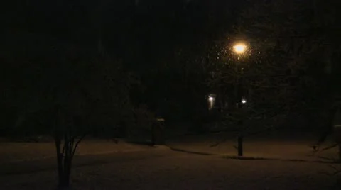 Snow 库存影片 20464326