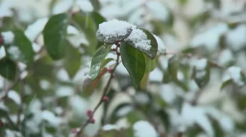 Snow Video stock 20542771