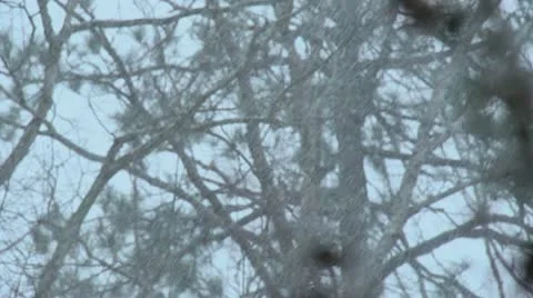 Snow Stock Footage 20543026