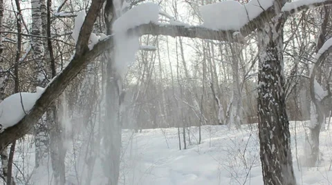 Snow Stock Footage 35187273