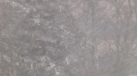 Snow Stock Footage 36205684