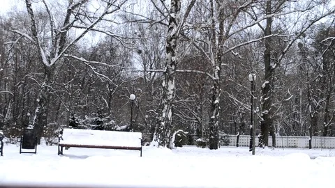 Snow Stock Footage 83709792