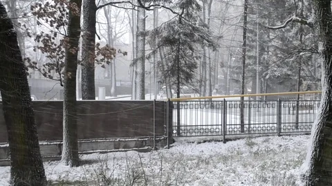 Snow Stock Footage 83885211