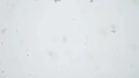 Snow. Video stock 91027481