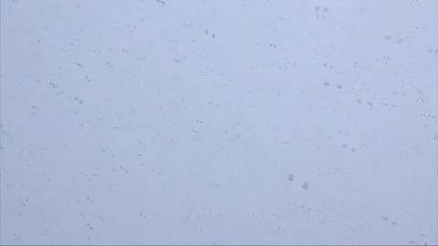 Snow Stock Footage 100452958