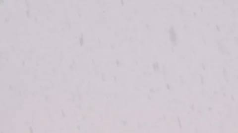 Snow Stock Footage 101663255