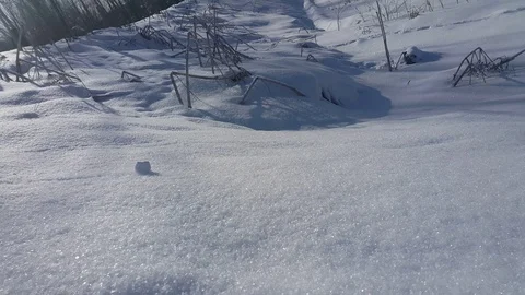 Snow Stock Footage 106368040