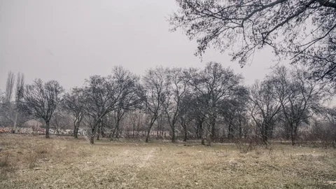 Snow Video stock 120718193