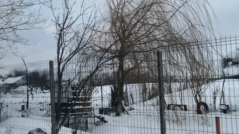 Snow Stock Footage 122308760
