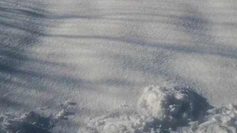 Snow Stock Footage 122370050