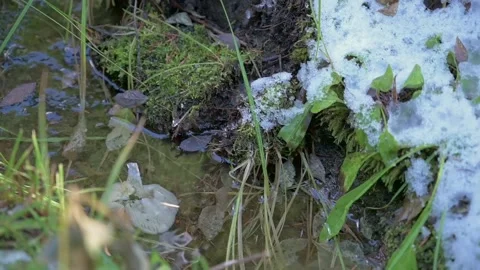 Snow Stock Footage 140464148