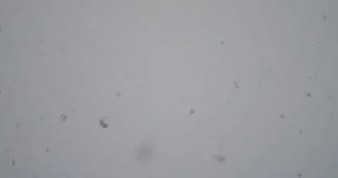 Snow Stock Footage 143752438