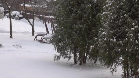 Snow Stock Footage 147433021