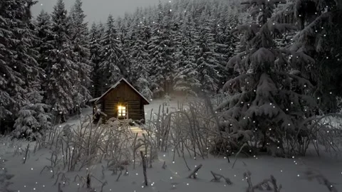 Snow Stock Footage 154795212