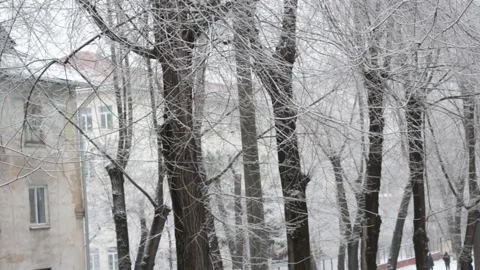 Snow Stock Footage 158688884