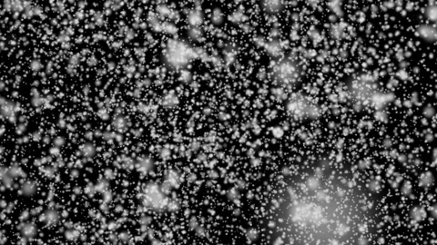 Snow Vidéo 160584632