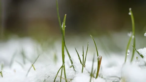 Snow Stock Footage 165983109