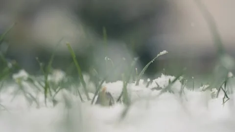 Snow Stock Footage 165983162