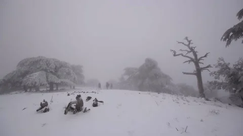 Snow Stock Footage 172438956