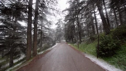 Snow Stock Footage 172442710