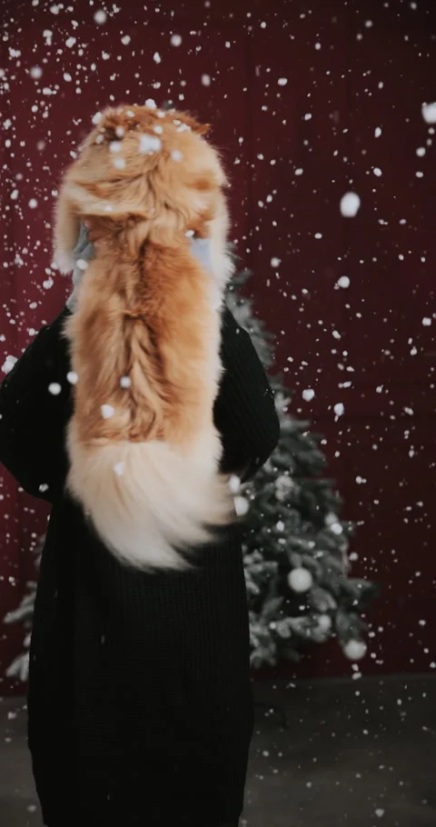 Snow  Stock Footage 228731949