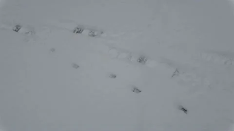Snow Stock Footage 231086098